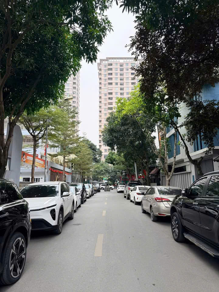 BÁN GẤP BIỆT THỰ ĐƠN LẬP PHỐ THỌ THÁP (KĐT DỊCH VỌNG), QUẬN CẦU GIẤY