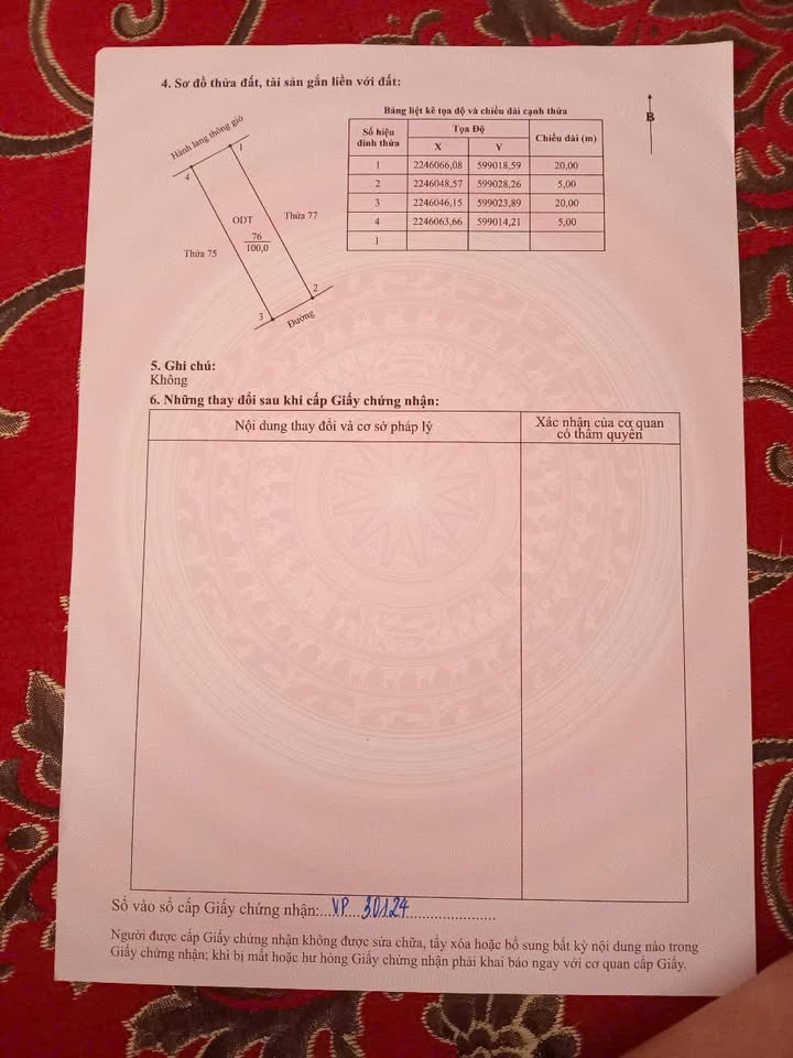 Em Đai chính chủ bán nhà Nguyễn Du – Tam Điệp như một lâu đài thu nhỏ giữa lòng phố.