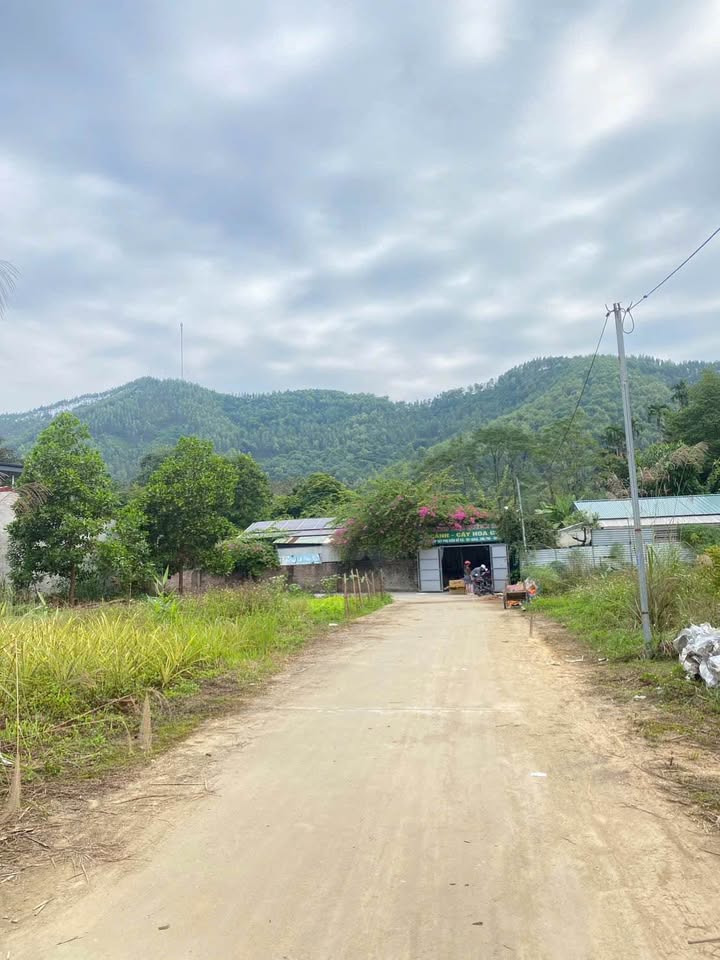 Bán lô đất 103,3m2 Tại Hạ Hoà - Phú Thọ.