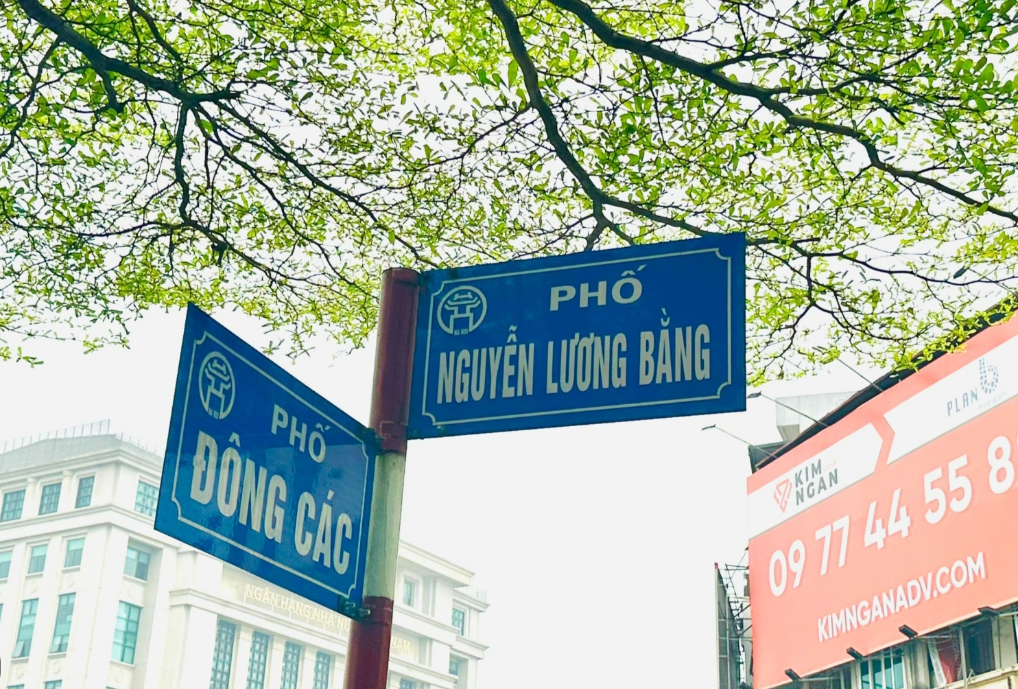 SIÊU PHẨM DÒNG TIỀN – NGUYỄN LƯƠNG BẰNG – ĐỐNG ĐA 8 TẦNG THANG MÁY – 20 PHÒNG KHÉP KÍN – FULL NỘI THẤT – DOANH THU ỔN ĐỊNH