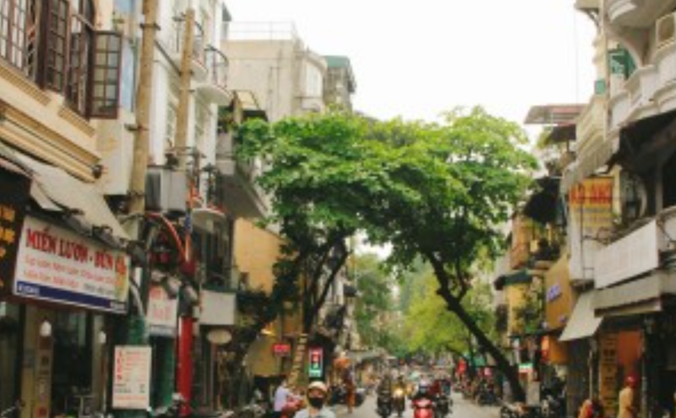 TẾT CÓ NHÀ ĐẸP – Ở LUÔN – HÀNG HIẾM LÕI TRUNG TÂM ️ MẶT PHỐ QUANG TRUNG – TRẦN QUỐC TOẢN – NGUYỄN DU