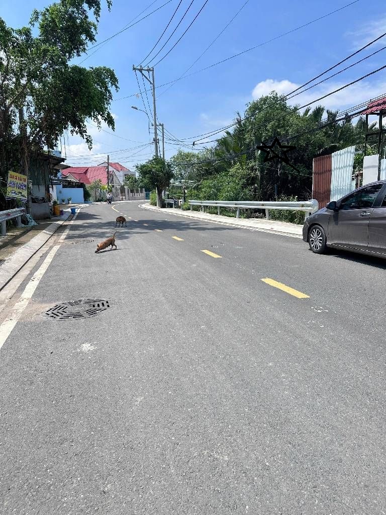 SIÊU PHẨM MẶT TIỀN] CỦ CHI: 1.800 m2 TRỤC TỈNH LỘ 15 – NGANG 25M ĐẲNG CẤP – ĐIỂM VÀNG ĐẦU TƯ