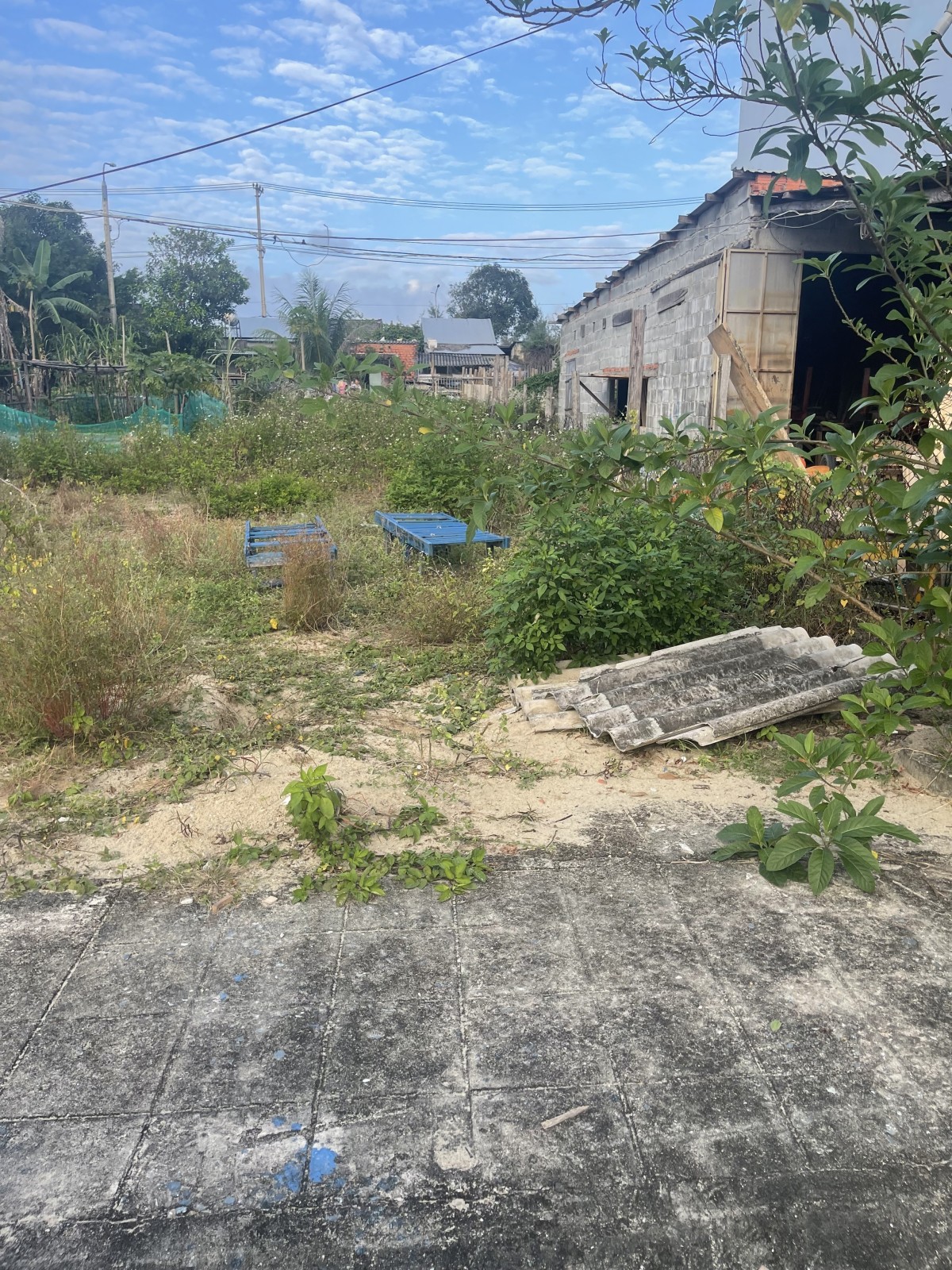 Tòa căn hộ 4 tầng Phan Đăng Lưu Hòa Cường 12 phòng dòng tiền 35 triệu giá 10.6 tỷ