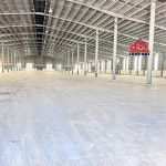  6000m2 - 3