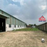  1000m2 - 4