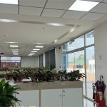  9000m2 - 1