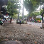  100m2 - 1