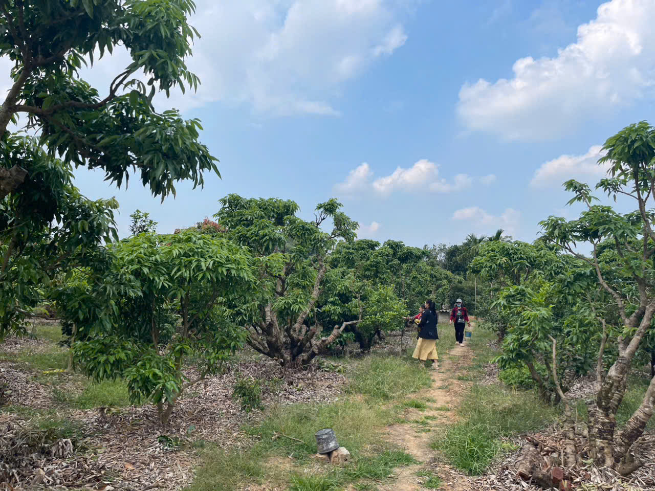 . ĐẤT NỀN CHŨ BẮC NINH GIÁ 450 TRIỆU 420M2 TIỆN ÍCH SẴN Nguyễn Hùng BĐS - 0989333012