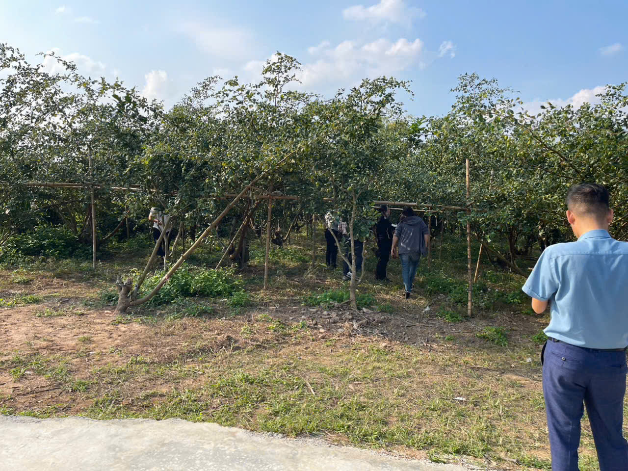 ĐẤT NỀN CHŨ BẮC NINH GIÁ 480 TRIỆU 400M2 GẦN KHU DÂN CƯ Nguyễn Hùng BĐS - 0989333012