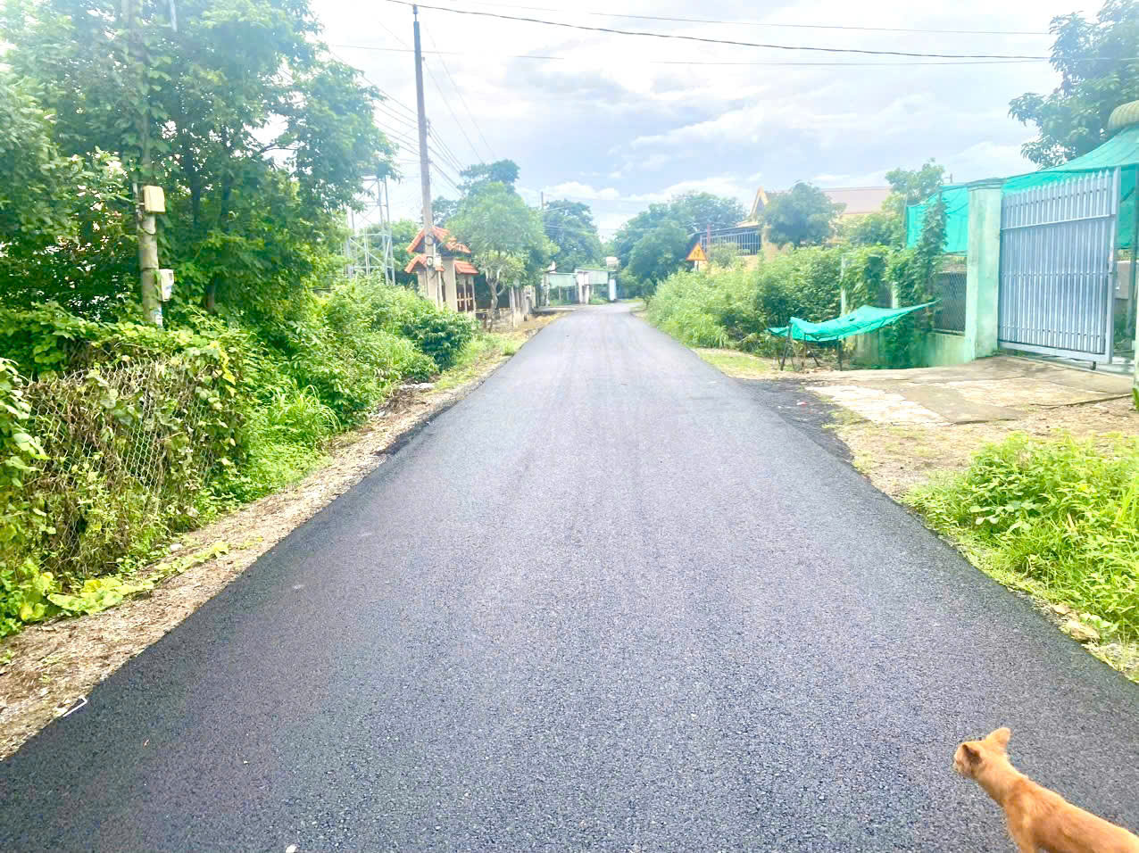 Mặt tiền Đường Nhựa 6m xe hơi khu bàn cơ thông tứ phía ♦️ DT : 1.373 m2 - ngang 20.2 x dài 68 ( Phân lô kinh doanh