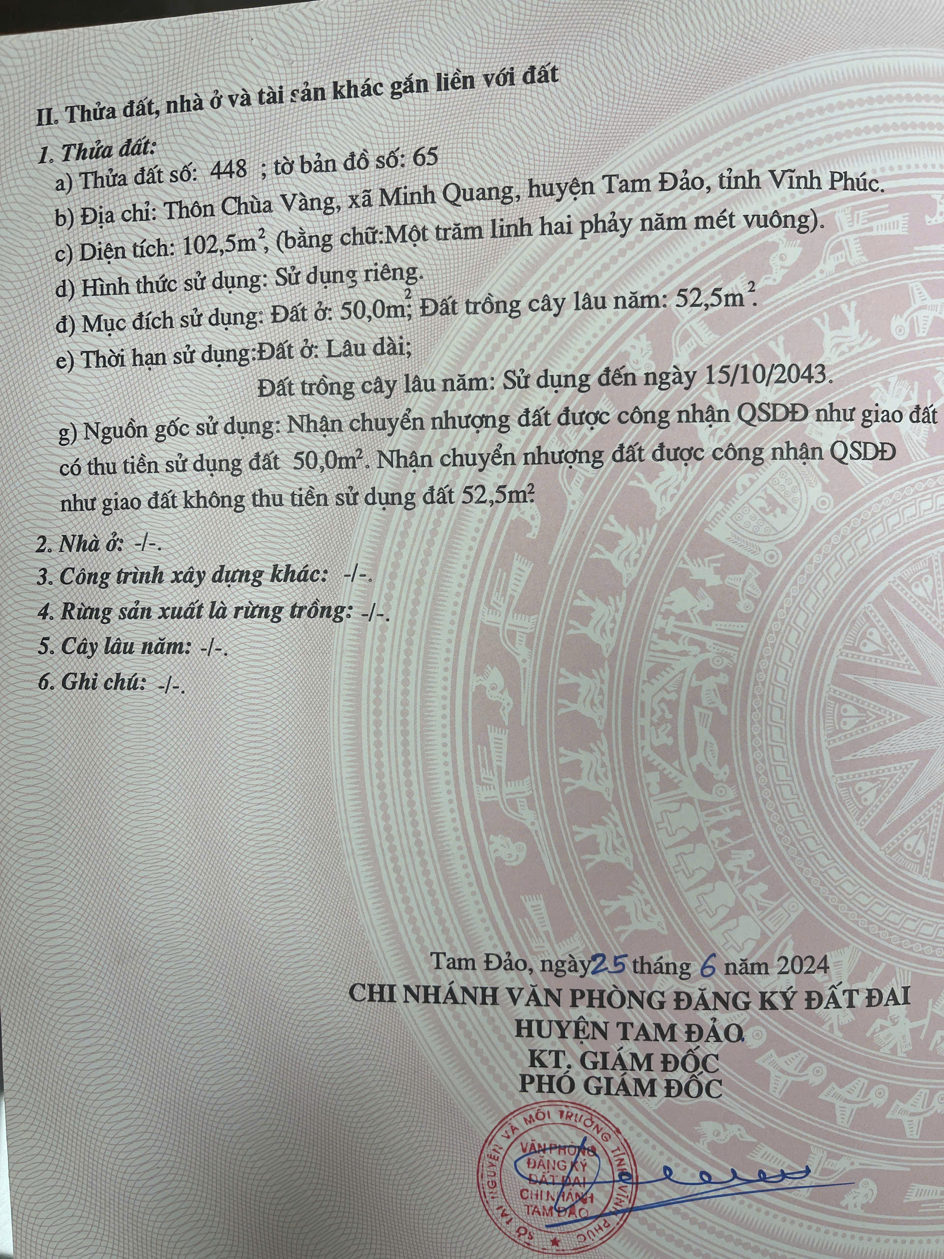 CẦN TIỀN BÁN GẤP LÔ ĐẤT TAM ĐẢO – GIÁ TỐT CHO KHÁCH THIỆN CHÍ