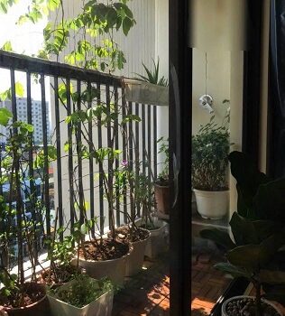 Chính chủ cần bán căn hộ 2n2wc tầng trung CT1 chung cư @Home, 987 Tam Trinh, Hoàng Mai, HN