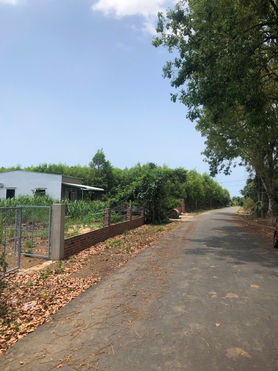 Cần bán đất Long Phước diện tích 1383m2 có thổ cư 120m2 đường nhựa lớn thích hợp xây nhà vườn