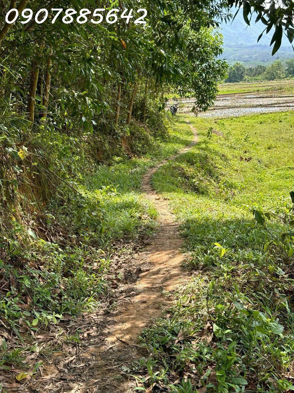 BÁN ĐẤT NỀN GIÁ RẺ DƯỚI 60 TRIỆU TẠI KHÁNH HOÀ