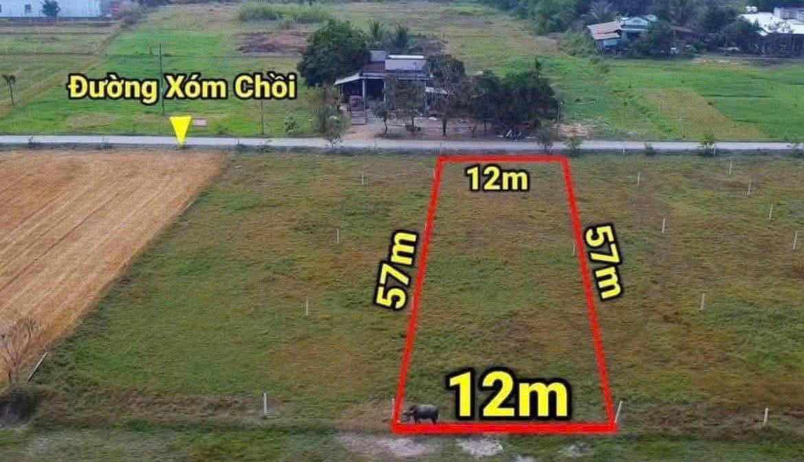 Bán đất thổ cư mặt tiền đường Xóm Chồi , xã Hậu Nghĩa dt 688m2 giá 3,65 tỷ