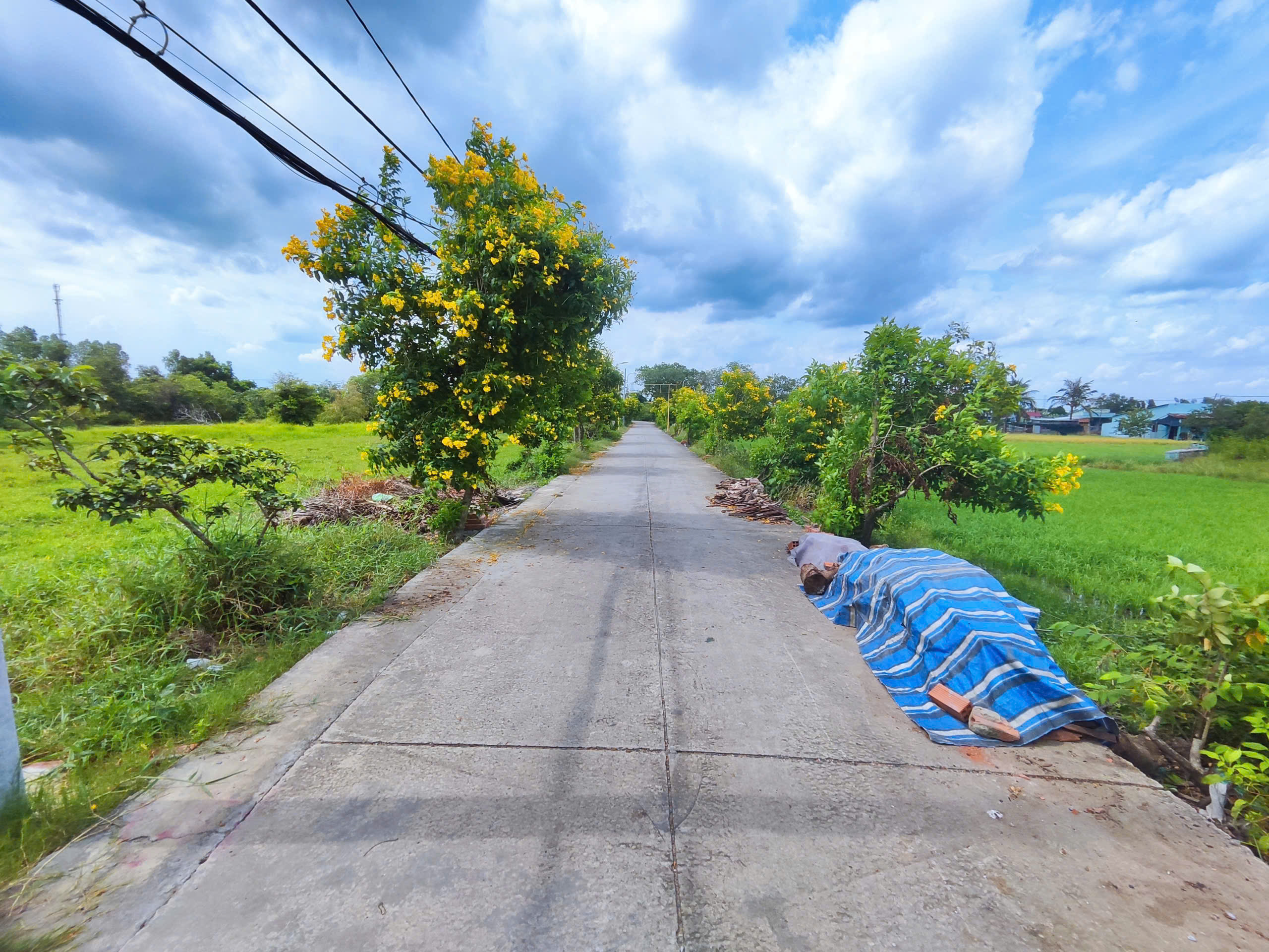 CẦN BÁN 2051M2 ĐẤT THỔ CƯ ĐƯỜNG XE TẢI TỚI ĐẤT