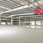  10000m2 - 1