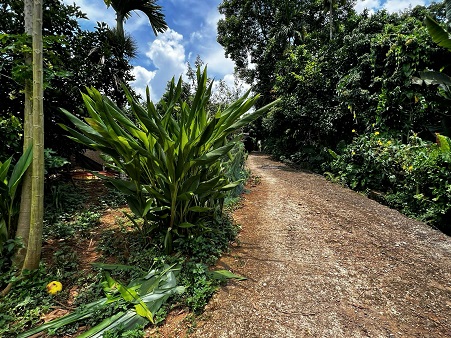 Bán đất đẹp gần khu du lịch Thác Trăng, Tân Lạc, Hòa Bình