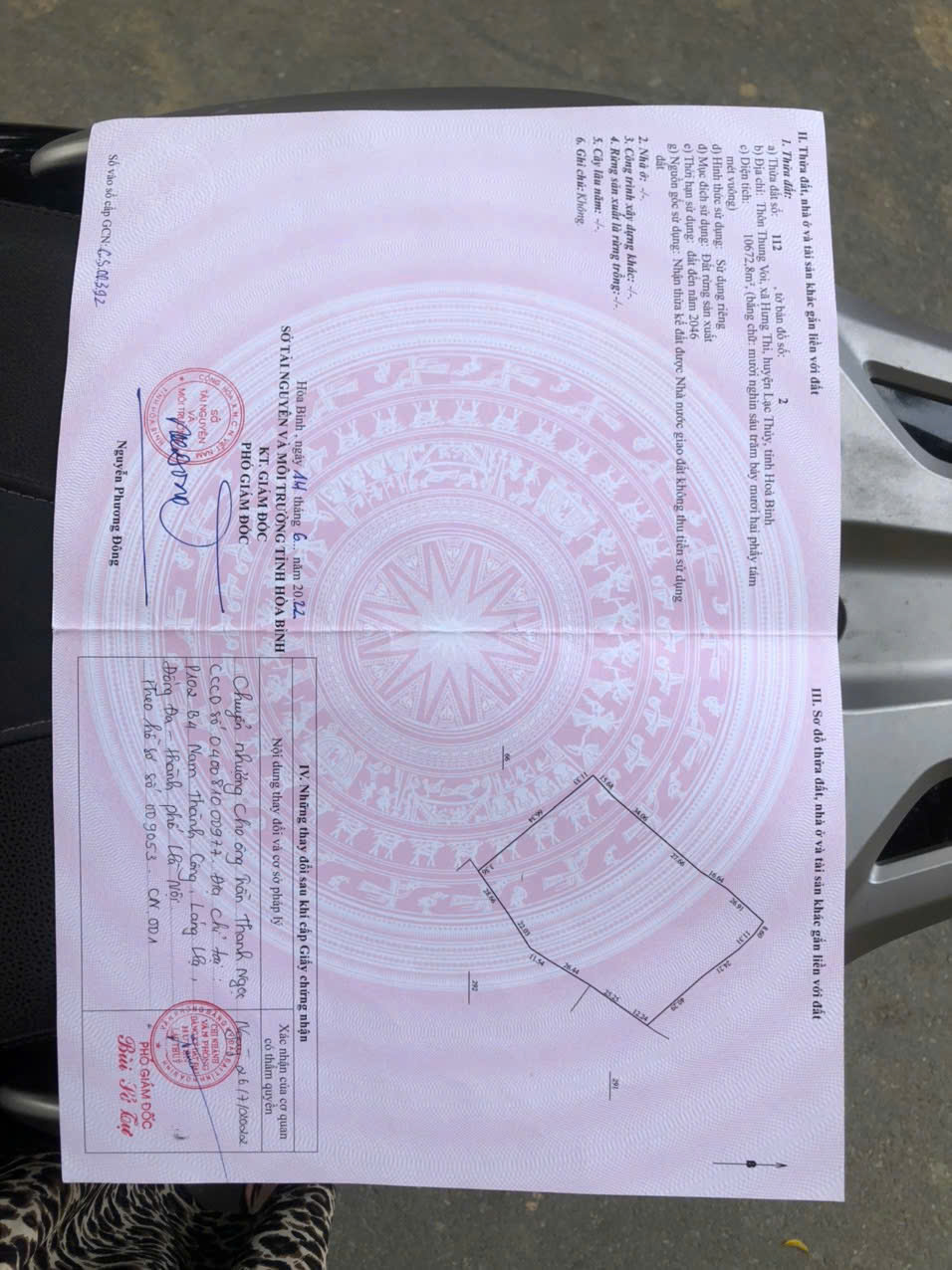 BÁN ĐẤT CHÍNH CHỦ – SỔ ĐỎ RIÊNG TẠI LẠC THUỶ - HOÀ BÌNH