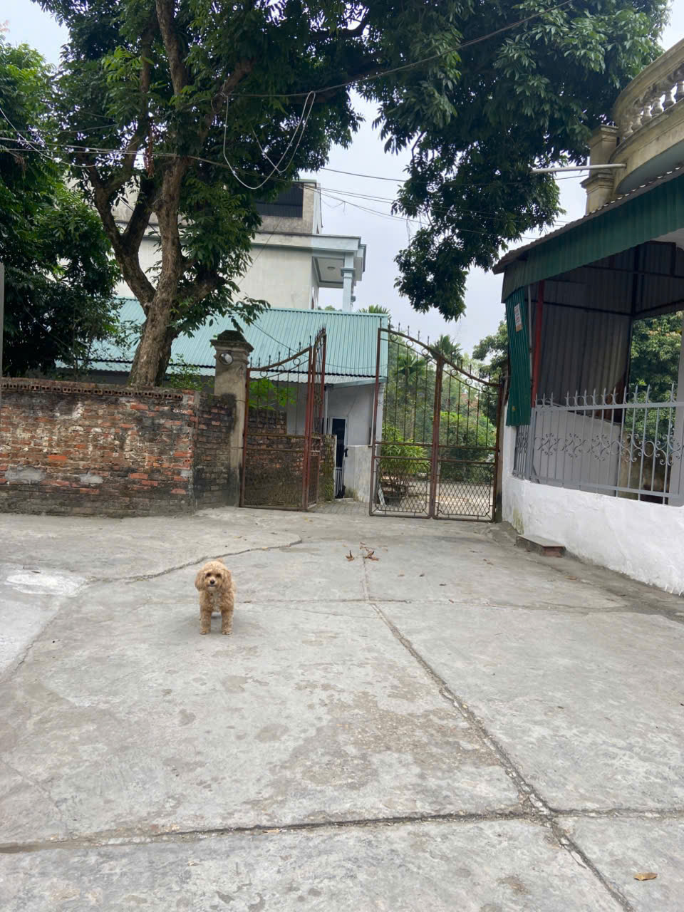 BÁN LÔ ĐẤT F0 VỊ TRÍ ĐẸP – KHU 2, PHƯỜNG VÂN CƠ, TP VIỆT TRÌ