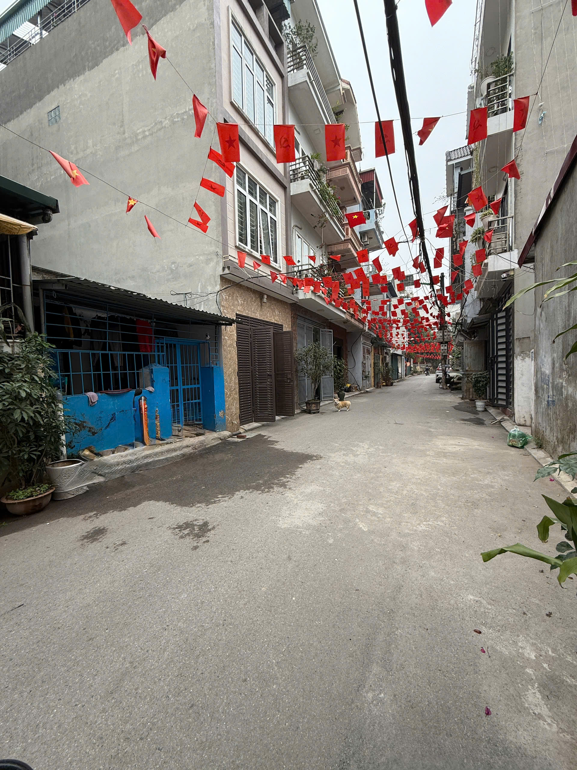 HOT !!! SỞ HỮU NGAY LÔ ĐẤT ĐẸP - GIÁ TỐT - Vị Trí Đắc Địa Tại Đông Thắng