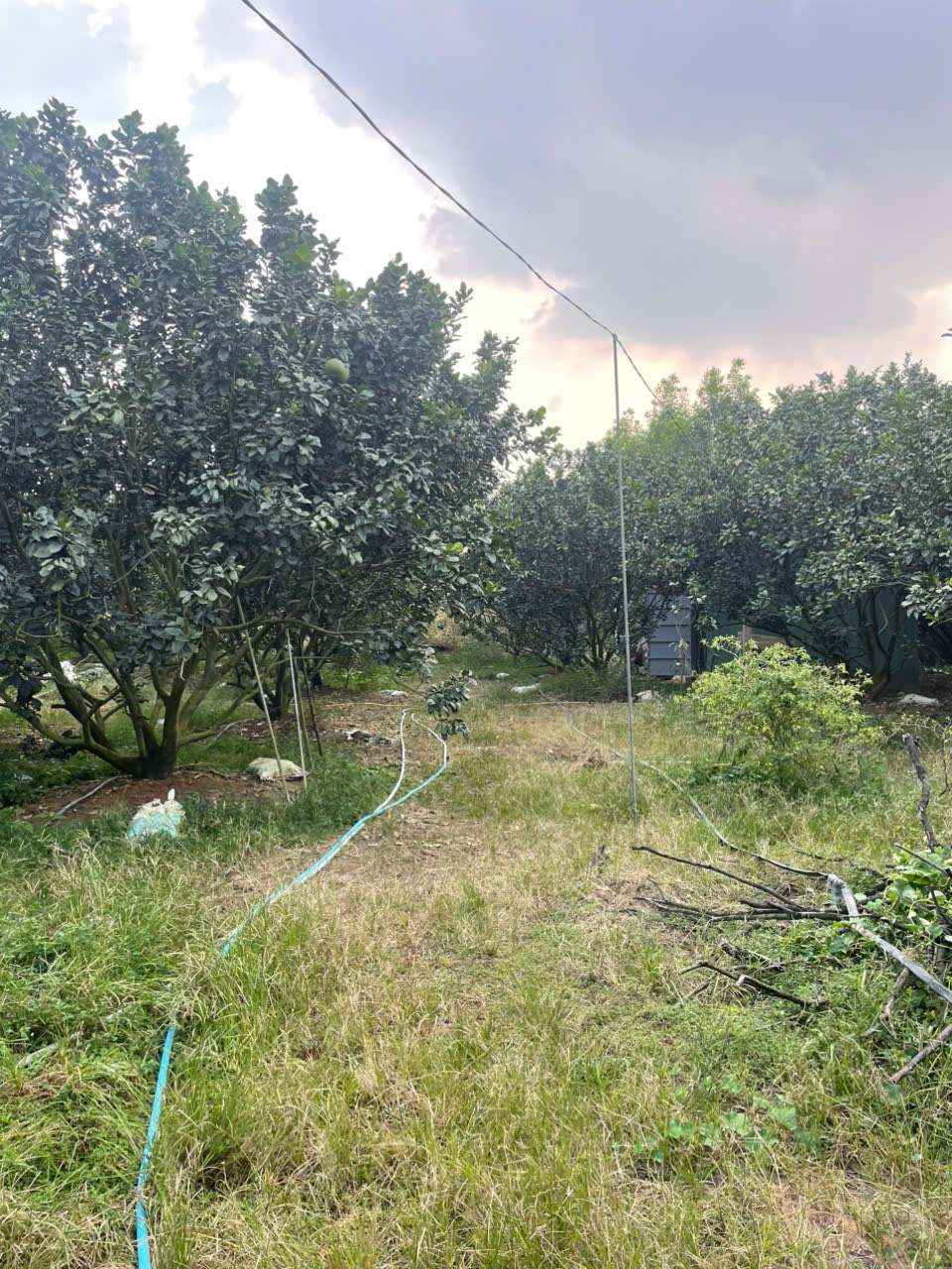 CHÍNH CHỦ BÁN SIÊU PHẨM ĐẤT ĐẸP ***Phù Hợp Cho Mọi Gia Đình