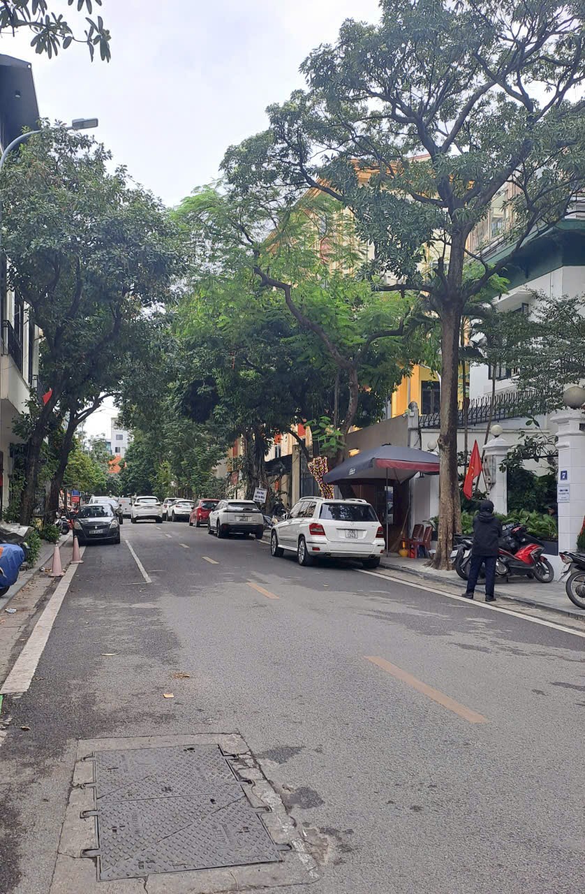 MẶT PHỐ QUANG TRUNG – TRẦN QUỐC TOẢN – NGUYỄN DU