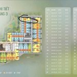  56m2 - 3