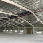  5800m2 - 5