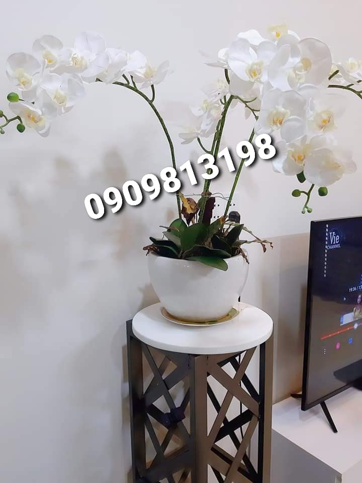 ♥️♥️♥️Bán Nhà Quận 10 SHR P.Hòa Hưng Sang Tên Ở Ngay.♥️♥️♥️