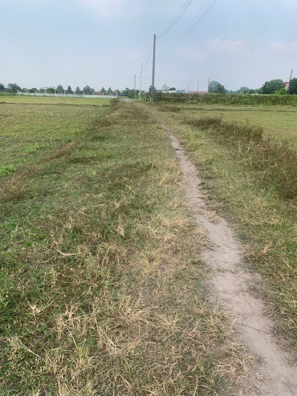 Bán lô đất Mỹ Hạnh Bắc tdt 1240m2 ( 300m2 thổ ) thích hợp phân lô , xây nhà vườn giá 4 tỷ