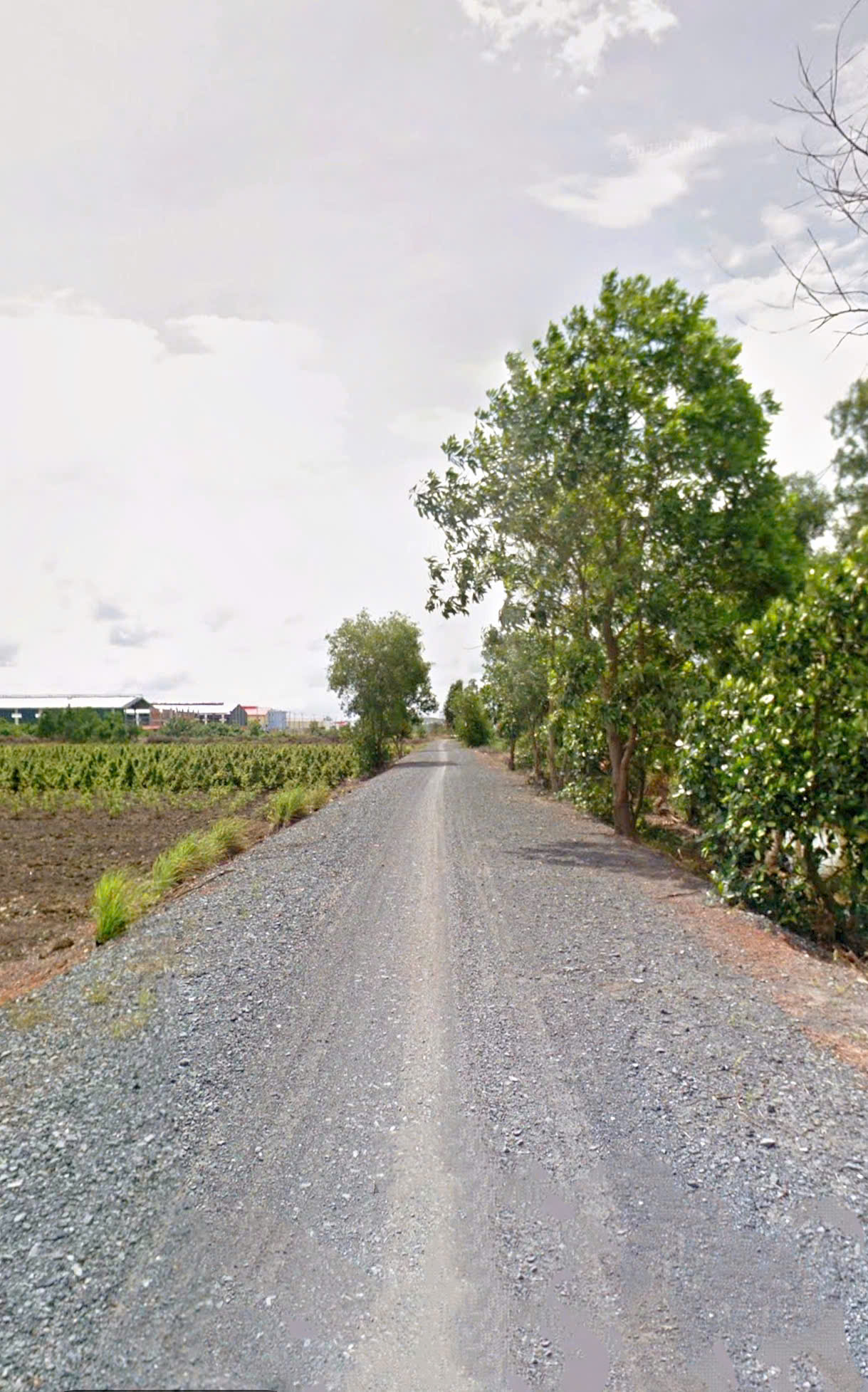 CẦN BÁN 10.000M2 ĐẤT VƯỜN MT ĐƯỜNG KÊNH XE HƠI