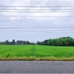  4000m2 - 1