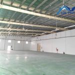  2000m2 - 1