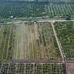  16000m2 - 4