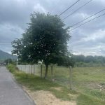  1280m2 - 5