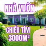  3000m2 - 1