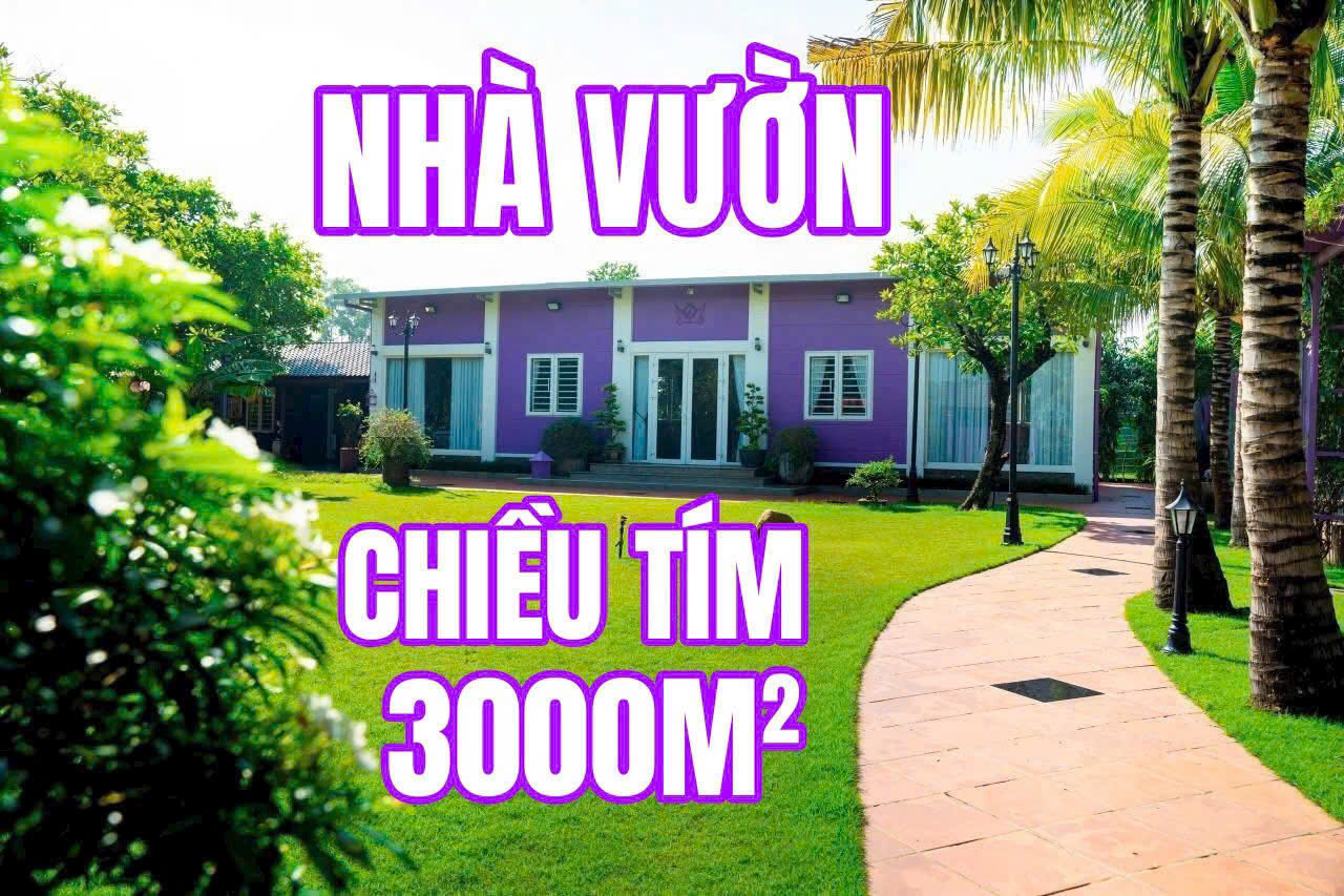 BÌNH MỸ – “NHÀ VƯỜN MÀU TÍM” 3.000M² NGỘP NGÂN HÀNG – GIẢM SỐC 2 TỶ