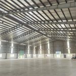  6000m2 - 1