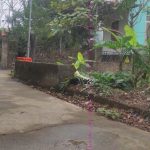  200m2 - 1