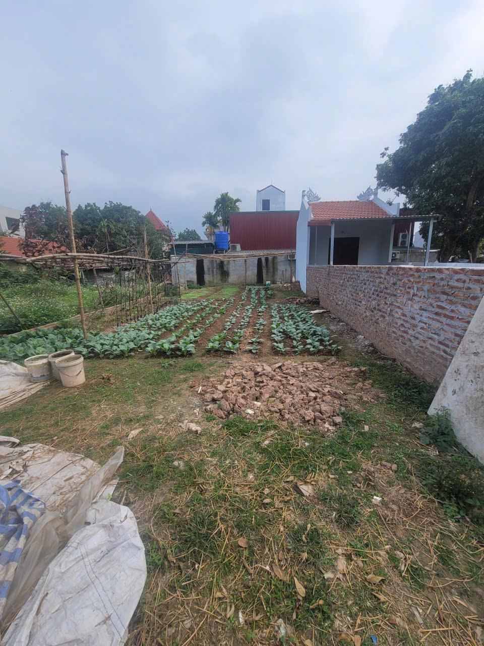 ĐẤT ĐẸP - GIÁ TỐT - Vị Trí Đắc Địa Tại Tam Thuấn - Phúc Thọ - Hà Nội
