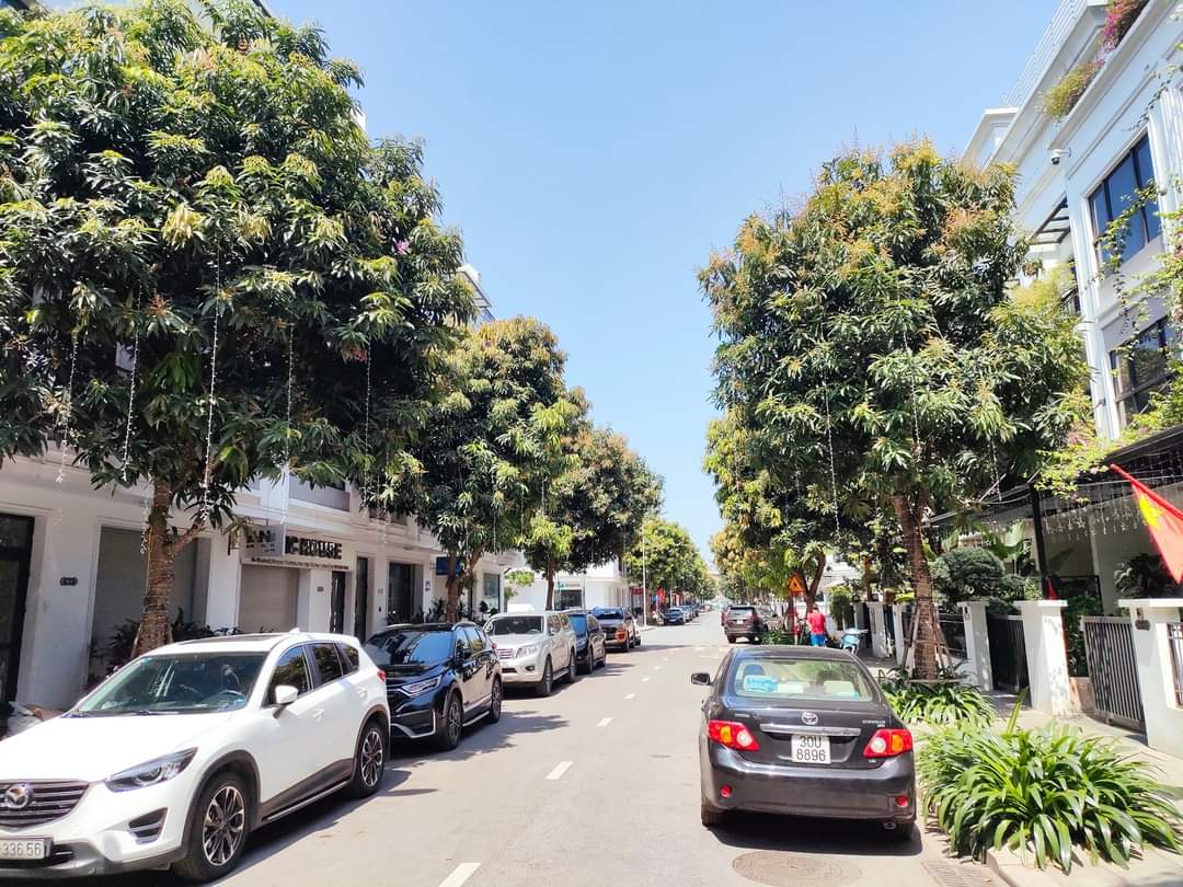 VINHOMES HÀM NGHI - VỈA HÈ - XÂY THÔ - ĐẦU TƯ