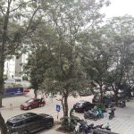  55m2 - 3