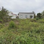  68m2 - 3