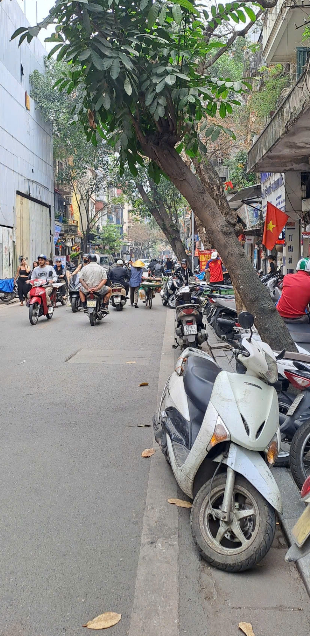 MẶT PHỐ HÀNG BỒ – PHỐ CỔ HOÀN KIẾM Diện tích 125m² Mặt tiền 7m cực hiếm Nhà đẹp – vận hành homestay ổn định. Dòng tiền ~100 triệu/tháng