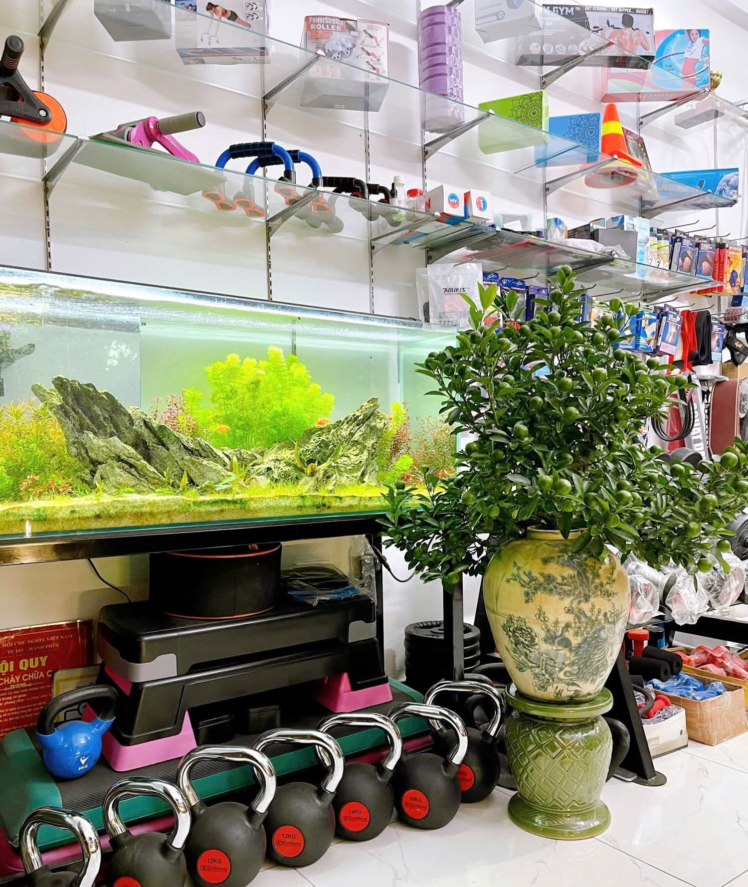 Nhà phố Giang Văn Minh 38 mét, 4 tầng cực hiếm.