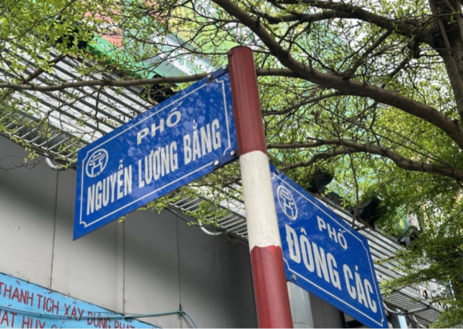 Vị trí: Phố Nguyễn Lương Bằng, quận Đống Đa – cốt lõi trung tâm