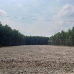  3500m2 - 3