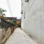 50m2 - 1