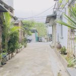  100m2 - 5